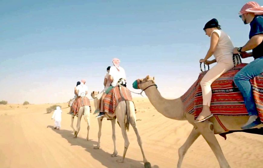 Admire Camel Ride At Desert