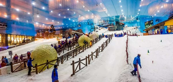 Ski Dubai Snow Premium With  Penguin Encounter