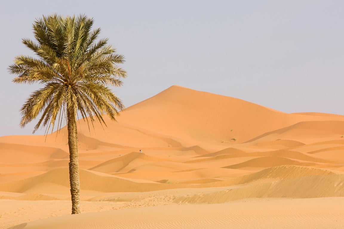 Appreciable Desert