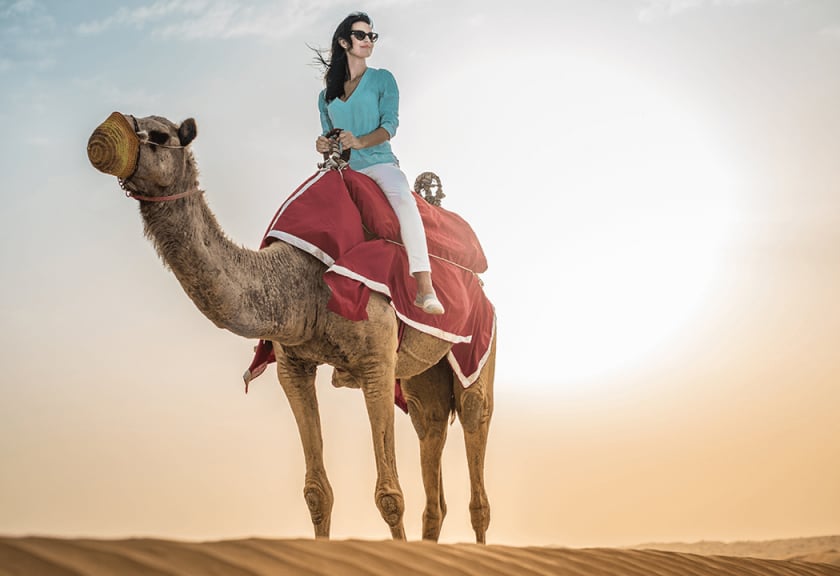 ii.	Camel Rides