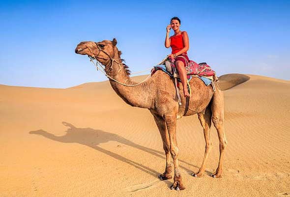 Reasons To Ride A Camel During A Desert Safari In Dubai: