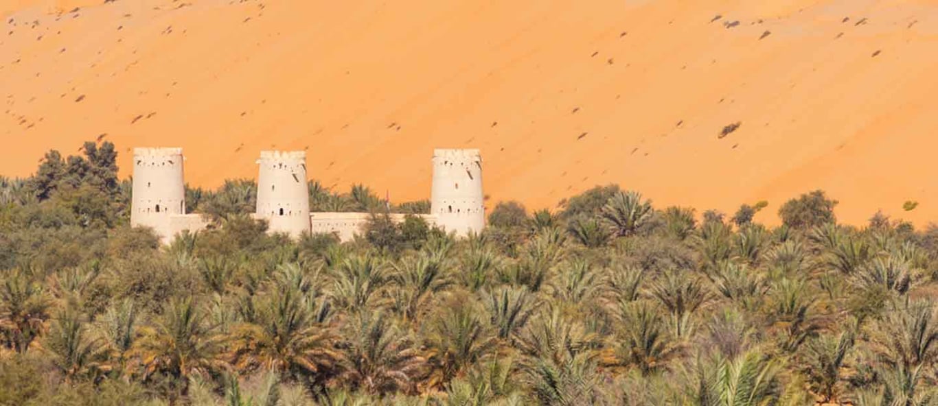 •	The Liwa Forts Are Well Worth A Visit