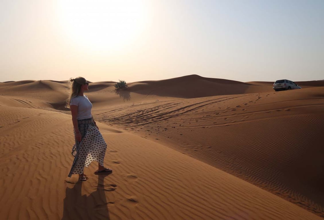 Meandering Around In The Desert Safari Dubai