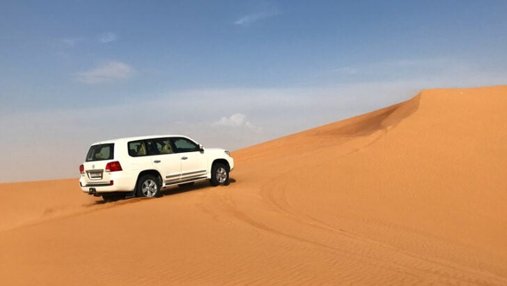 Concerned About Seeking More Dune Bashing