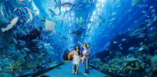 Abu Dhabi City Tour With Warner Bros World Combo