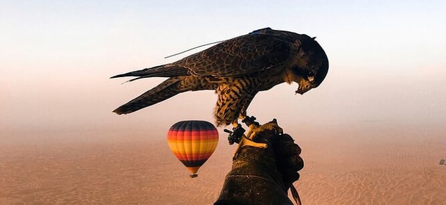 Burj Khalifa 2025/2026 Eve | Gold Fish Dubai Canal Cruise Lower Deck