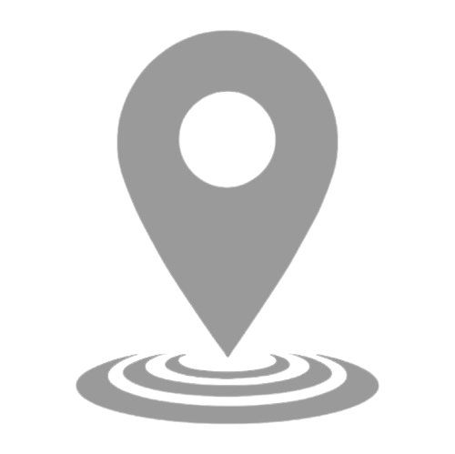 Google Map icon