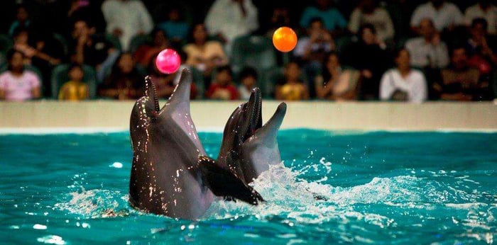 Dubai Travel And Tours