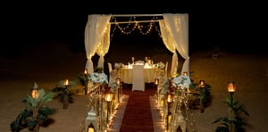 Bespoke Dinner White Setup