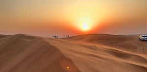 Sunrise Desert Safari with Quad Biking, Sand Boarding & Photo with Falcon