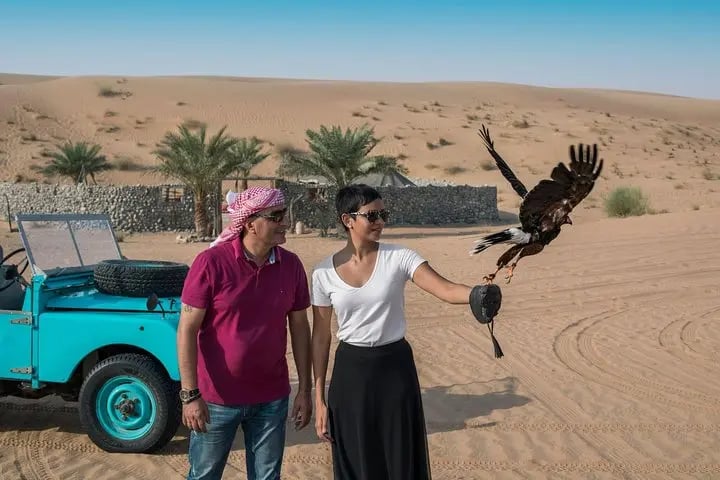 Falconry In Morning Desert Safari