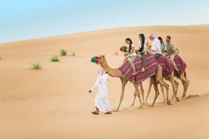 Policy Of Mask While Having Camel Rides