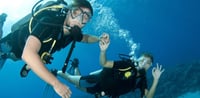 Dubai Travel And Tours