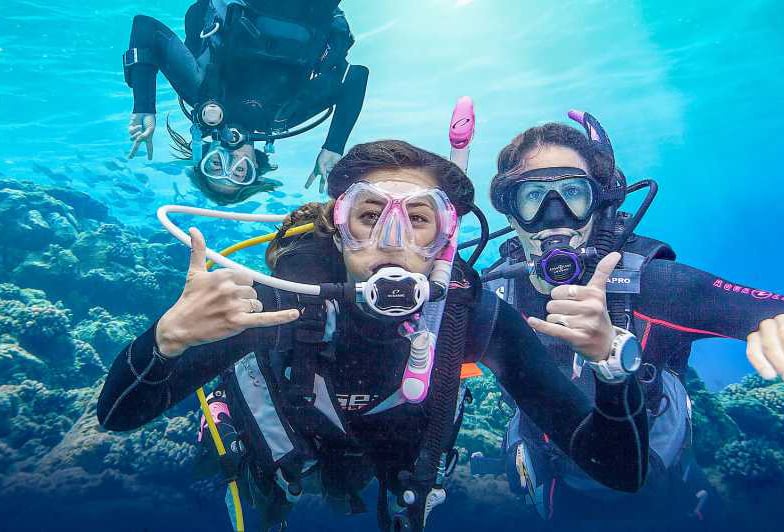 Best Time For Diving In Dubai