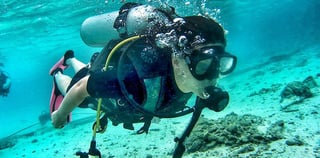 Morning Desert Safari Dubai At Red Dunes, Dune Bashing, Camel Riding, Sand Boarding 