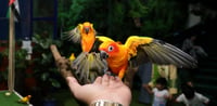 Dubai Travel And Tours