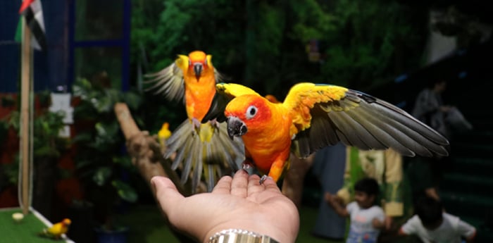 Dubai Travel And Tours