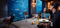 Dubai Travel And Tours