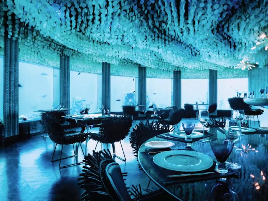 Flabbergast Aquatic dining area