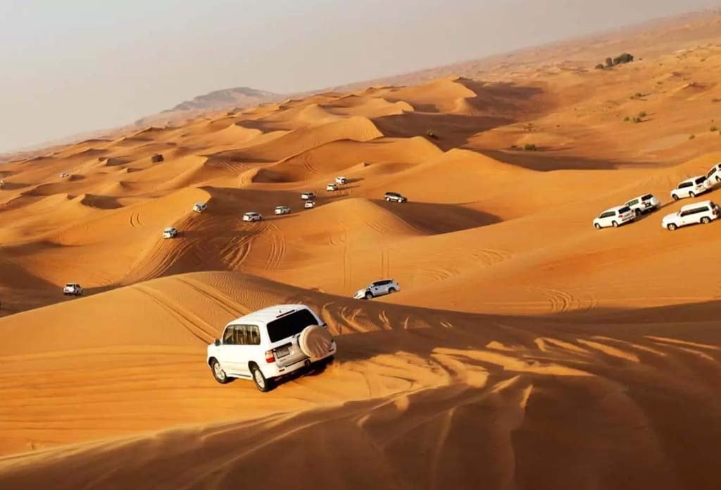 The Best Chance To Go On A Desert Safari