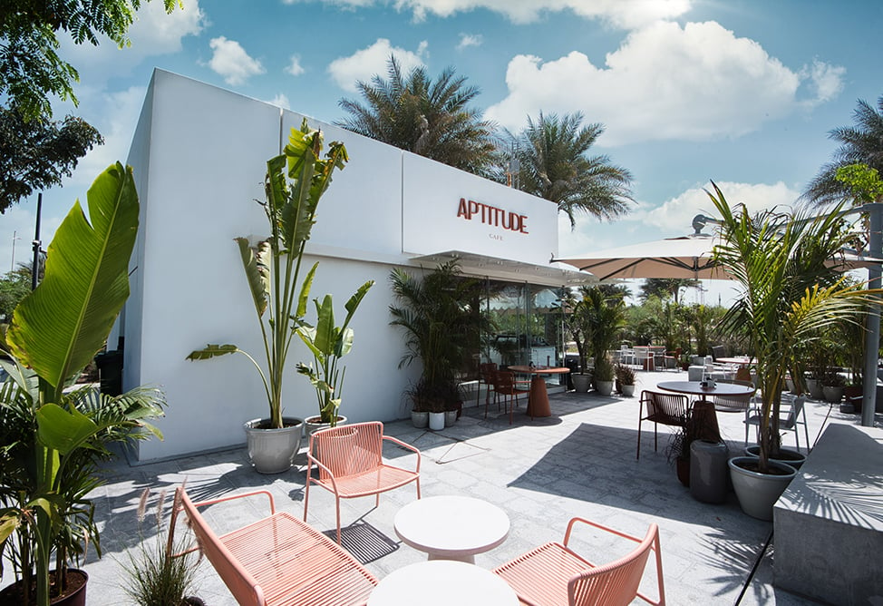 •	The Aptitude Café