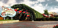 Dubai Travel And Tours