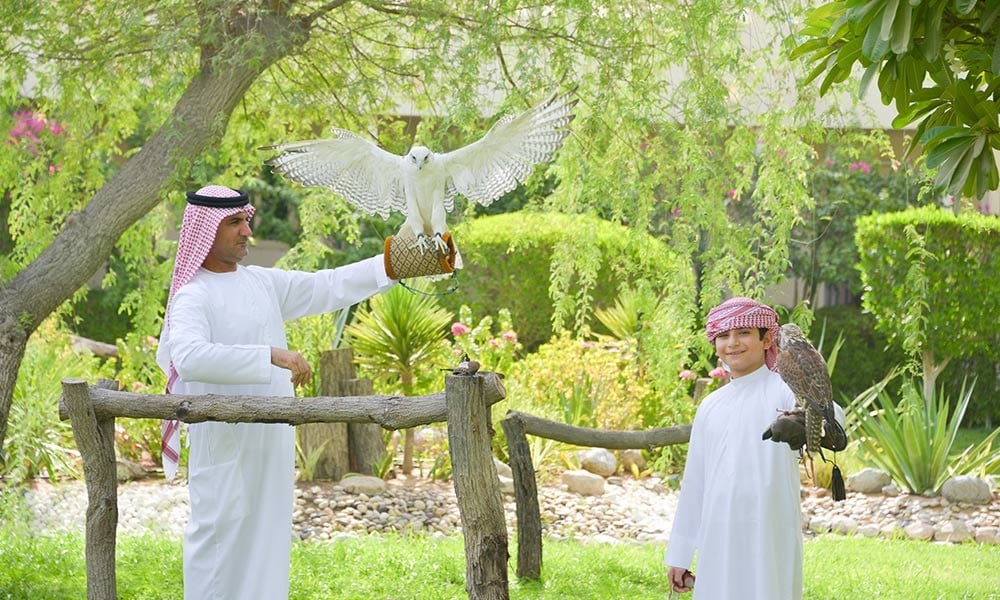 •	Time required to visit Falcon Museum: