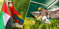 Dubai Travel And Tours