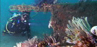 Red Dunes Desert Safari Quad Biking Camel Riding Sand Boarding Live BBQ