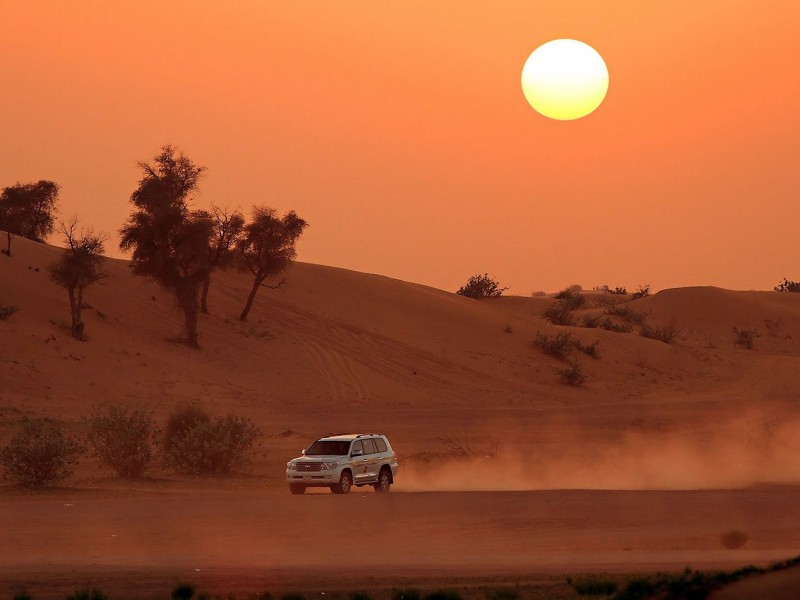 •	Evening Safari In The Desert