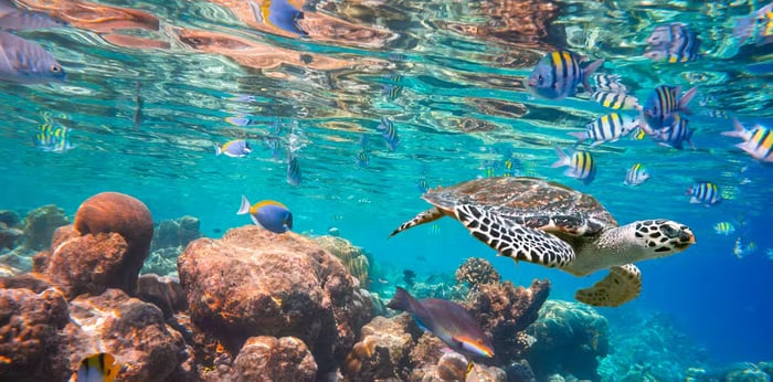 Dubai Travel And Tours