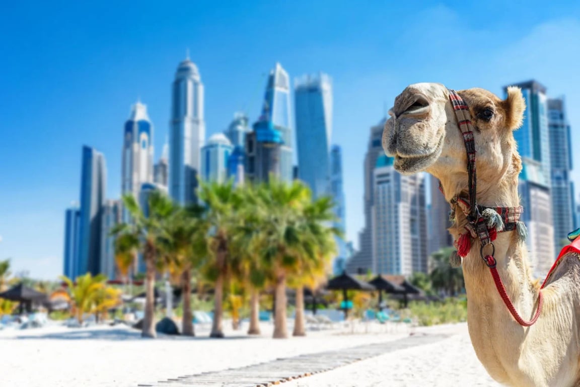 Why Choose Dubai Travel Tourism As Your Next Sightseeing Tour?