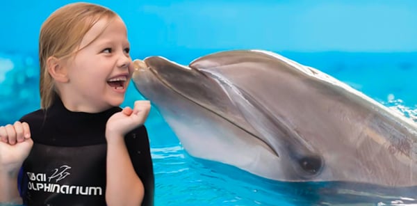 Pool And BBQ Only On Fridays