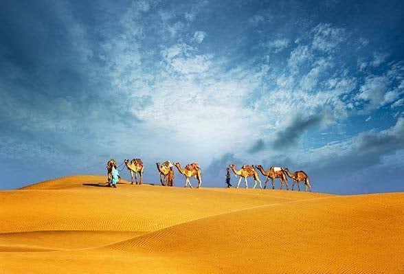 Evening Desert Safari: It's A Must-Do Action