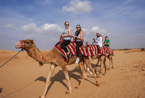Camel Station