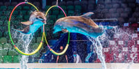 Dubai Travel And Tours