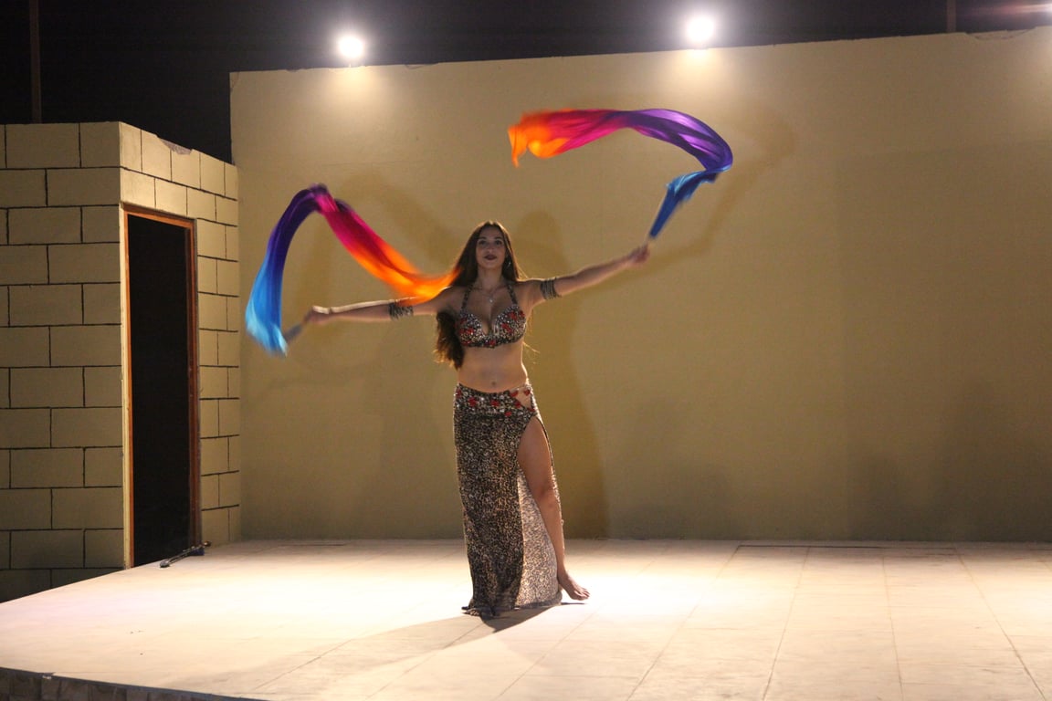 Some Information About Belly Dancing: