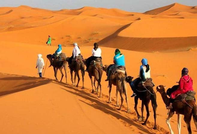 Camel Ride Is One Of The Many Empowering Activities 2023