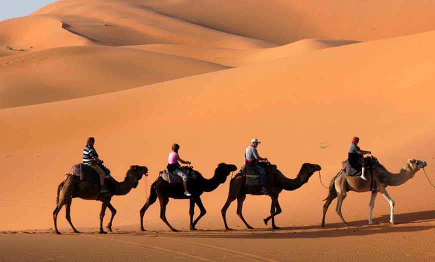 Amazing Al Dhabi Pony And Camel Rental