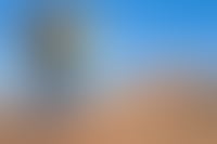 Dubai Travel And Tours