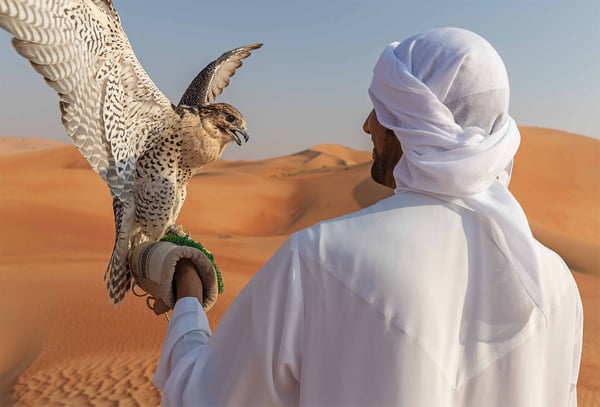 Photo with Falcon