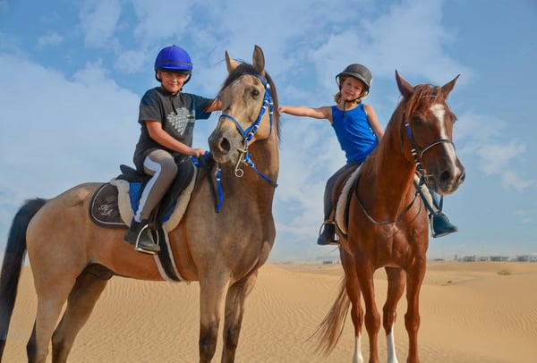 Horse Riding