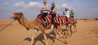 Dubai Travel And Tours