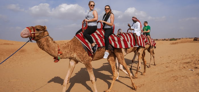 Dubai Travel And Tours