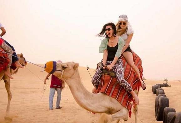 Camel Journeying