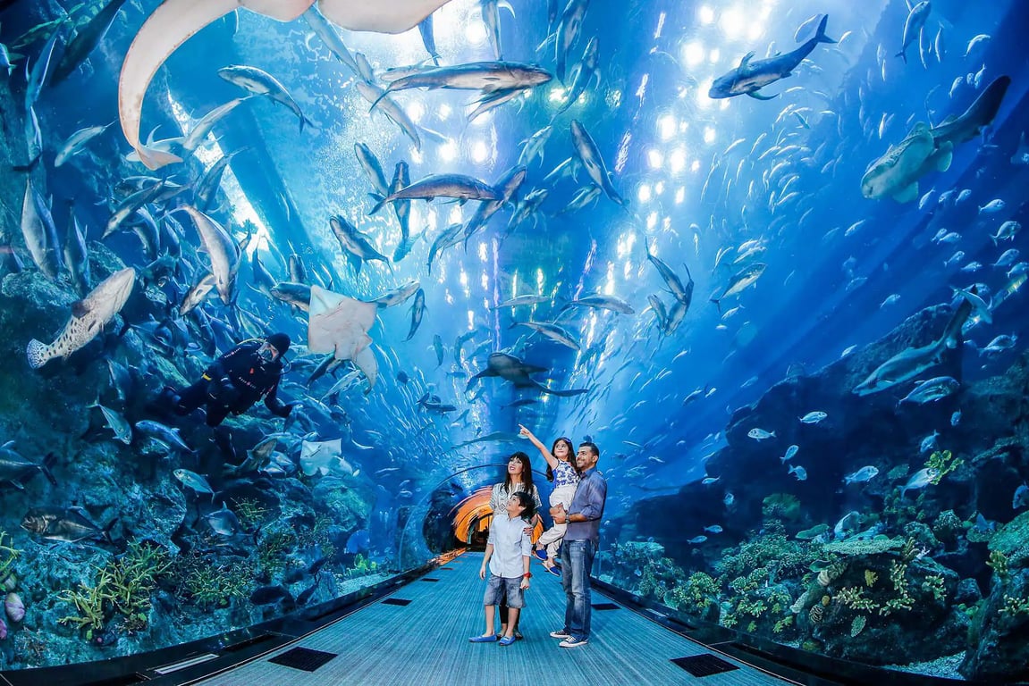 4.	Dubai Aquarium And Underwater Zoo