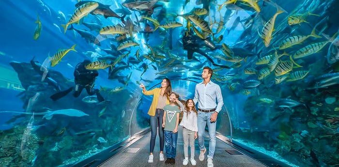 Dubai Travel And Tours