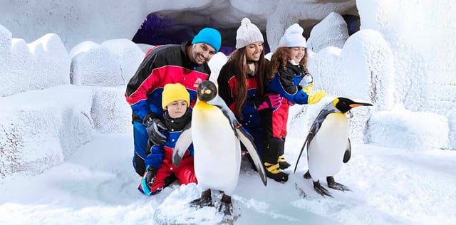 Ski Dubai Snow Plus With Discovery Lesson