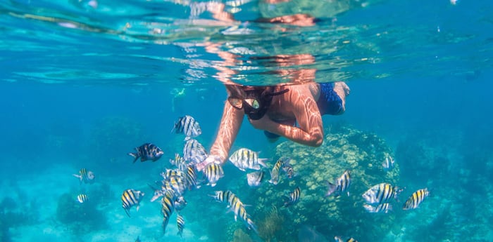 Dubai Travel And Tours