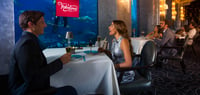 Dubai Travel And Tours